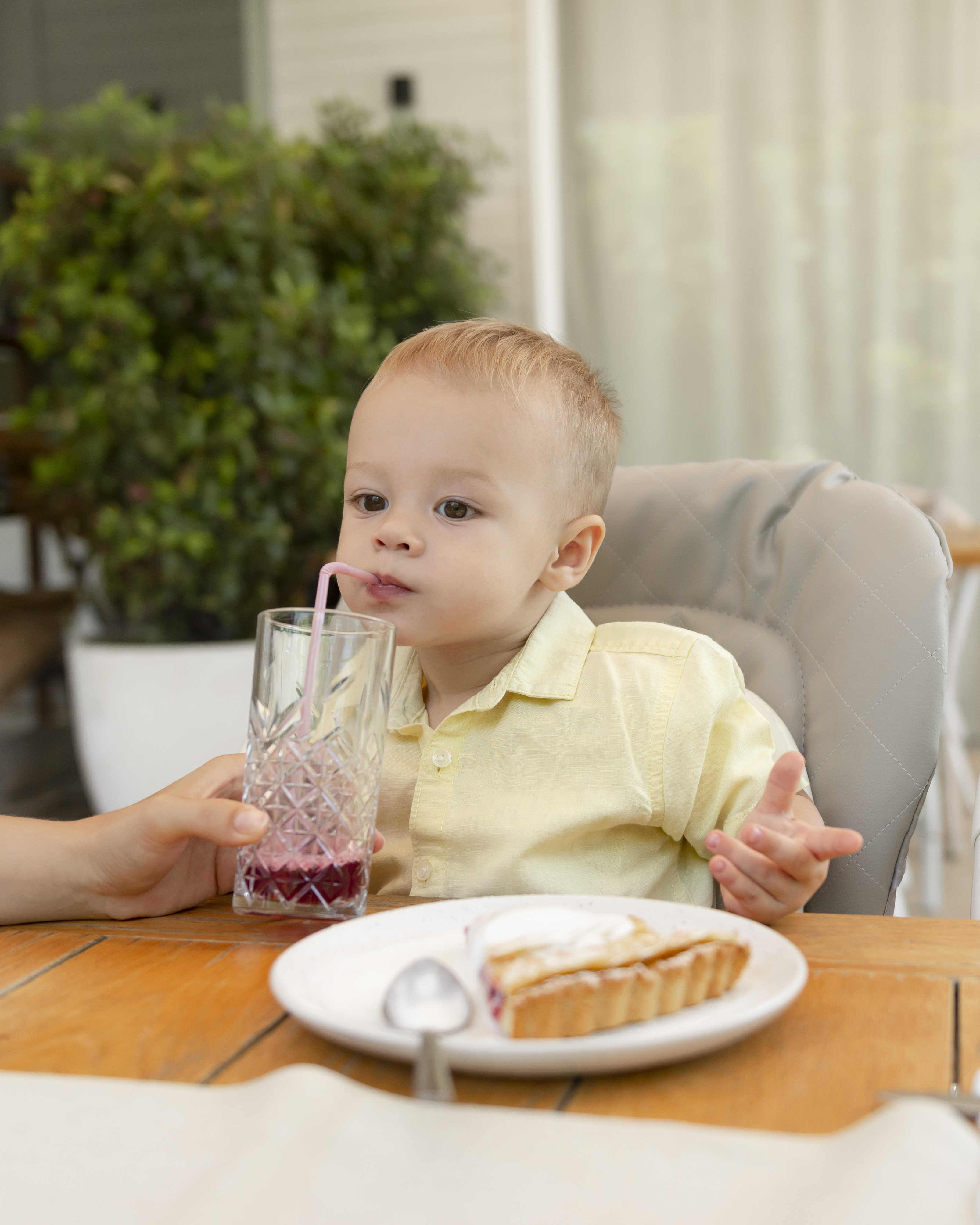 Я сам!!! або дорослішаємо разом з Carrello 1