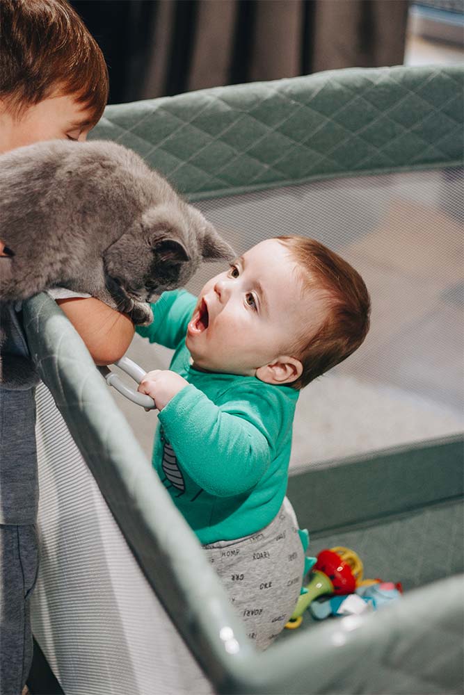 Манеж і міфи: розмова зі скептиком 1