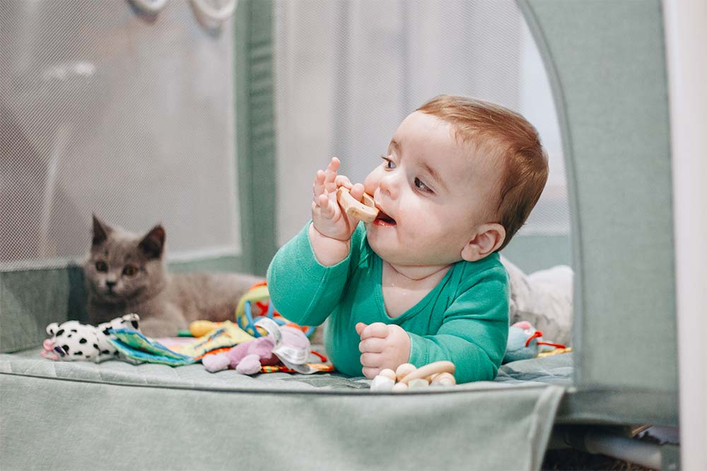 Манеж і міфи: розмова зі скептиком 6