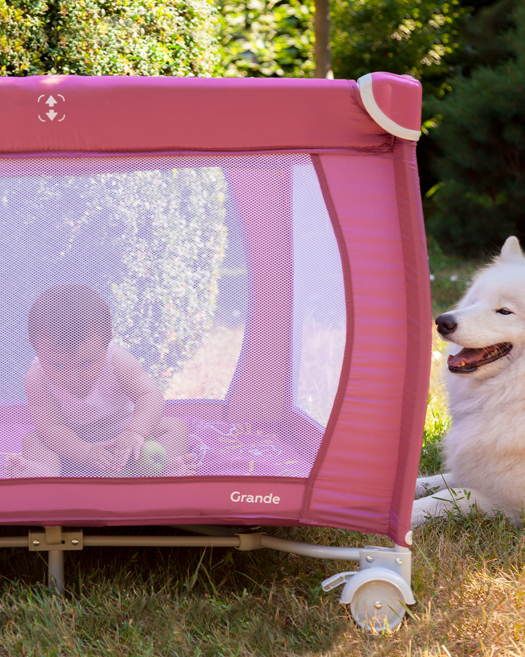 Як виховати щасливу і успішну принцесу, або тато може... 6
